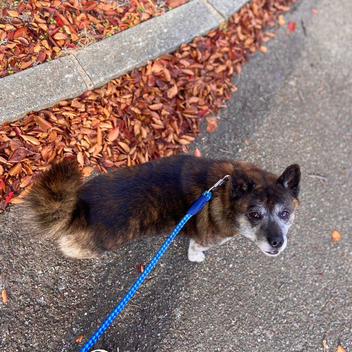 Ba04f398 6142 4587 a44d 6d3cde9853d7 1666834213427