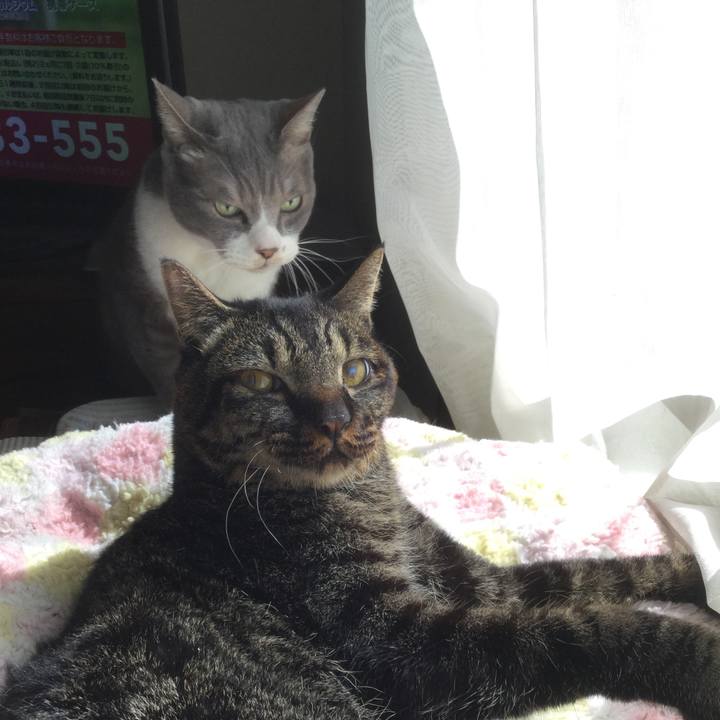 Ba050462 28e2 4029 9964 296b94b7d721 1614830688949