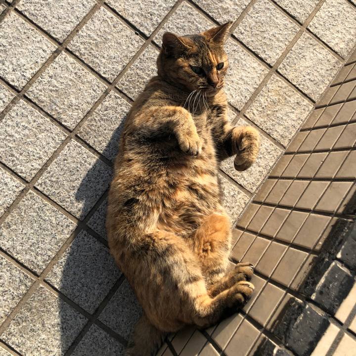 Ba053df8 bf07 43c9 9323 bd470c841520 1637291761610