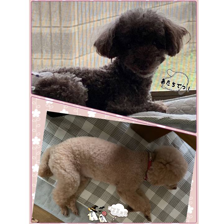 Ba05689d 6b49 4bef 9819 ae96952218c0 1569971322208