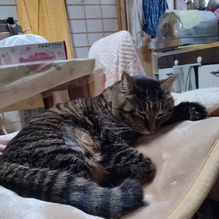 Ba0581ec 063a 452a 8f4c 332fb8c7c9f1 1677539539206