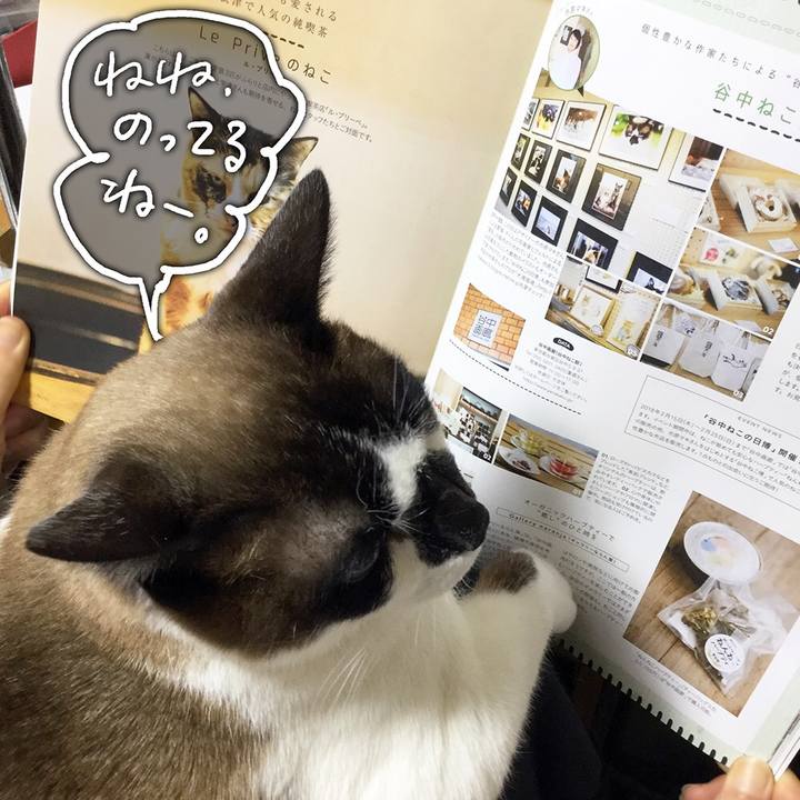 Ba0595f3 3f71 4539 82c9 61cf14c4f1bb 1515885981789