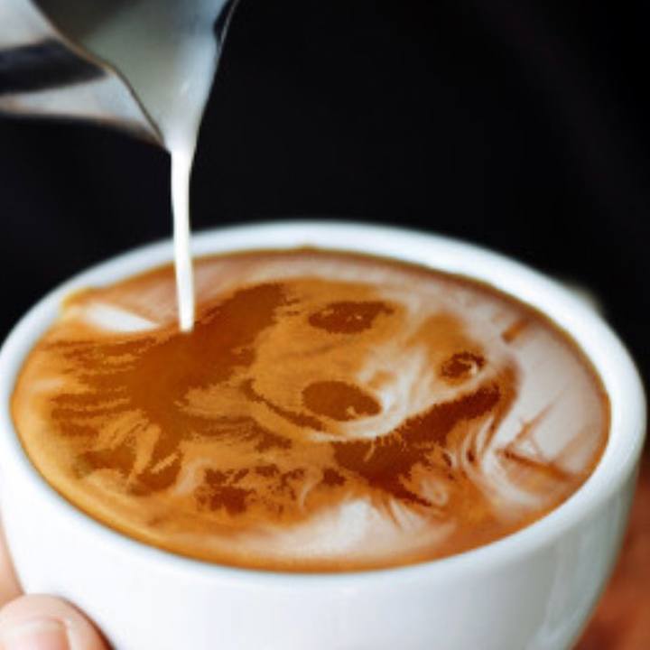 Ba05bb4e a7d5 4dc6 a0cd 19bc1f1ae033 1643238968838