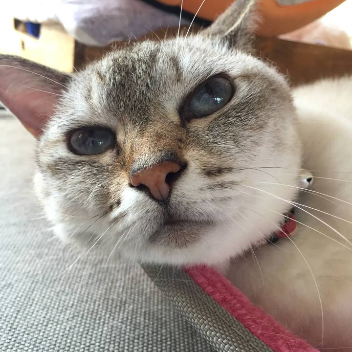 Ba062cd4 d8c3 46b5 a587 6db1967fadfb 1531783995831