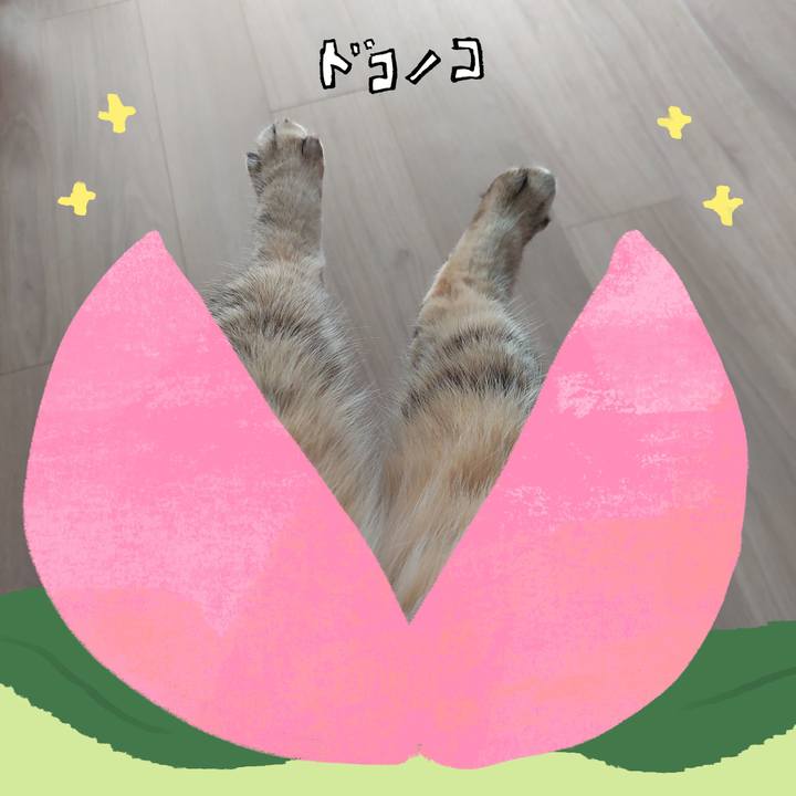 Ba0651bb b9fa 4c75 843f 79ee2ef37977 1772244324650