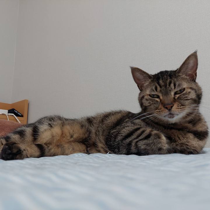 Ba0652a5 8625 49ec bf76 ebe95b29e142 1630018461086