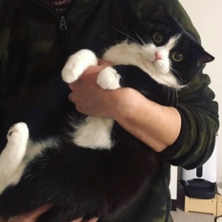 Ba067b36 4bbb 4a7f 9a52 a54f8e0e558d 1576894022492