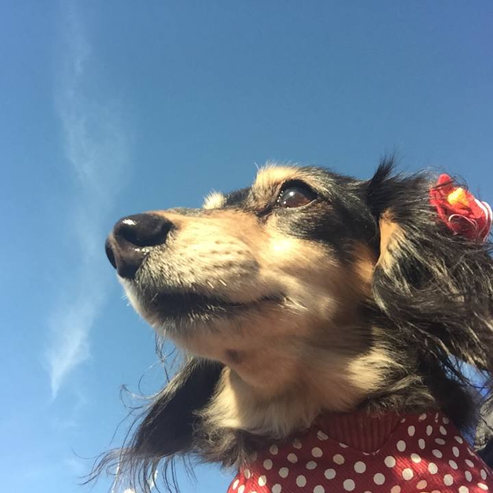 Ba06aa13 b4c5 43dc ab49 55cf64ec5c24 1545697053008