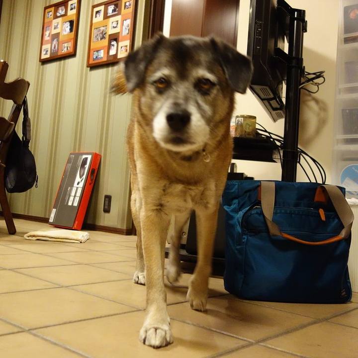 Ba06af48 e12b 4a3c bb7d 3521858b8134 1519739218972