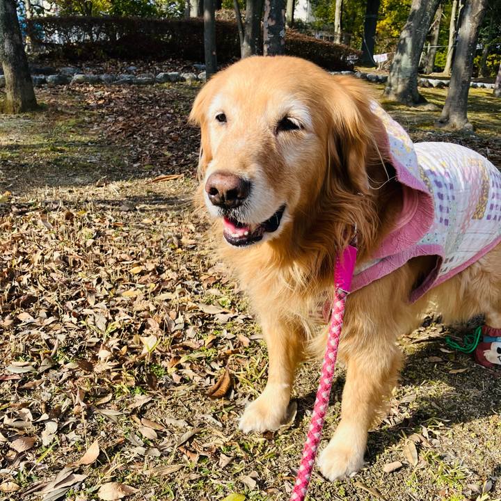 Ba06c707 f2c1 41eb 828a 6346eaf5f9da 1770218788742