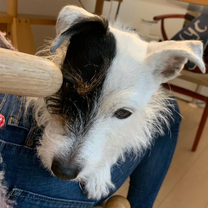 Ba06da2e 10d1 4332 8213 441056e43e81 1639699592958