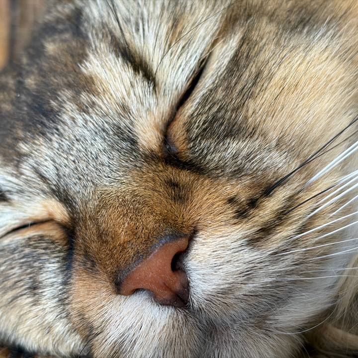 Ba06ea13 5b63 484f 93ae 0bf3b7c7bdd6 1767851703650