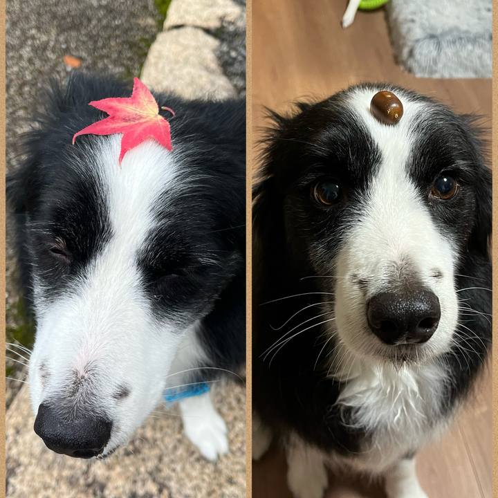 Ba071620 8407 4857 bf77 25b95d3626bc 1758447429948