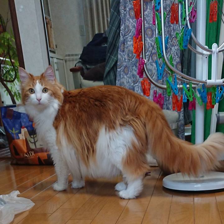 Ba072dc6 c3c2 4c61 a51c 0df1008e988b 1559536335995