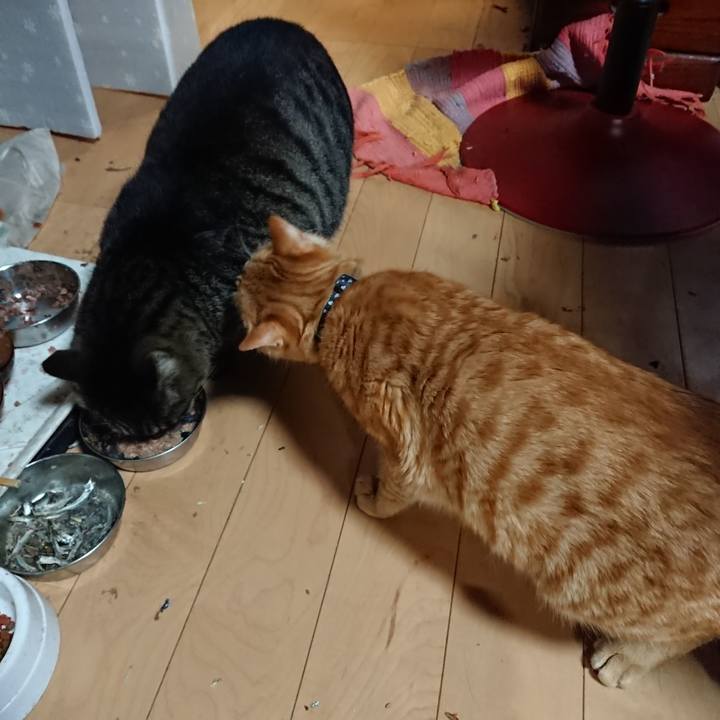 Ba073cd9 8d6c 4bc9 93a6 bf22f2b60992 1640425324707