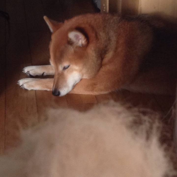 Ba073f36 a294 4deb 8a5d e472296c2027 1540452094889