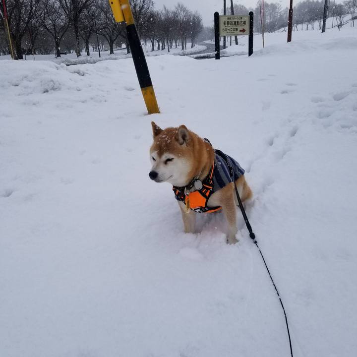 Ba07616c 05bc 4829 a91c d23e5ca2b1df 1640408428238