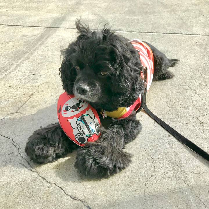 Ba07e5ff 9b25 4664 81f7 1b47e9d9dc22 1571034231917