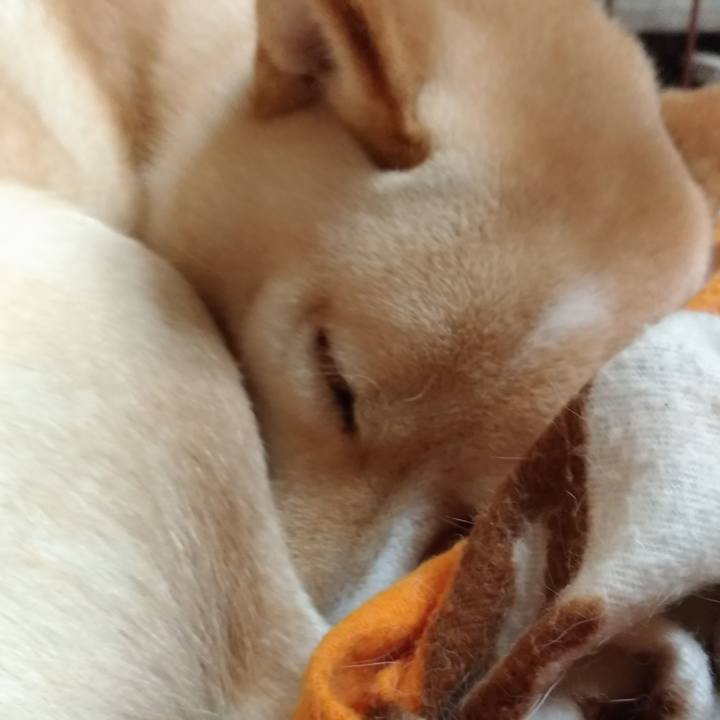 Ba07fe85 13ce 4594 97e7 e2dddc90c378 1544963496840