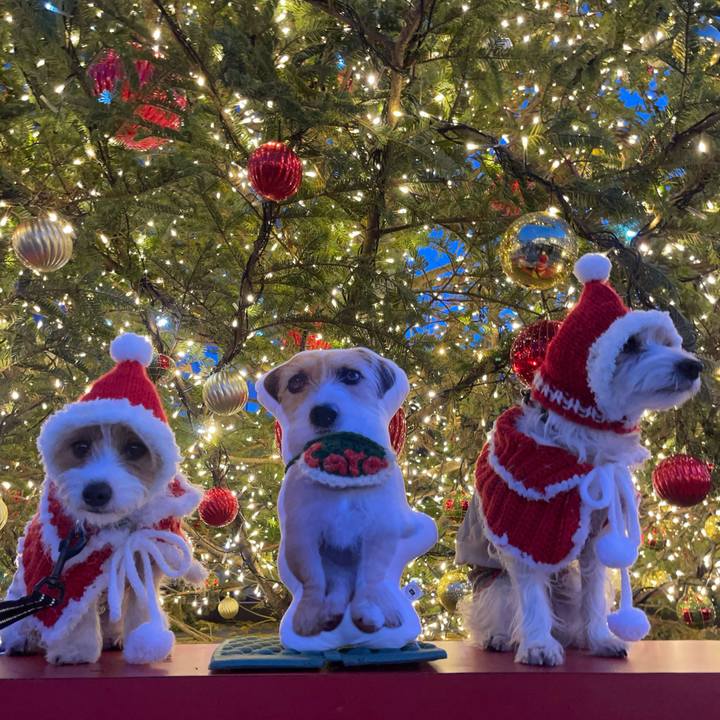 Ba080ca2 de74 4b0e 99da e1e6f6a9081d 1766489735212