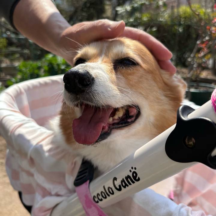 Ba082ca6 c7e4 46b2 9829 40d42de8355d 1742525211890