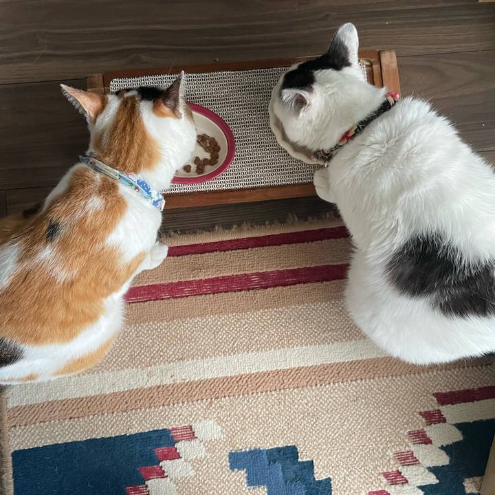 Ba0842c2 6363 40ba bc0a b0825aa926cc 1722900661767