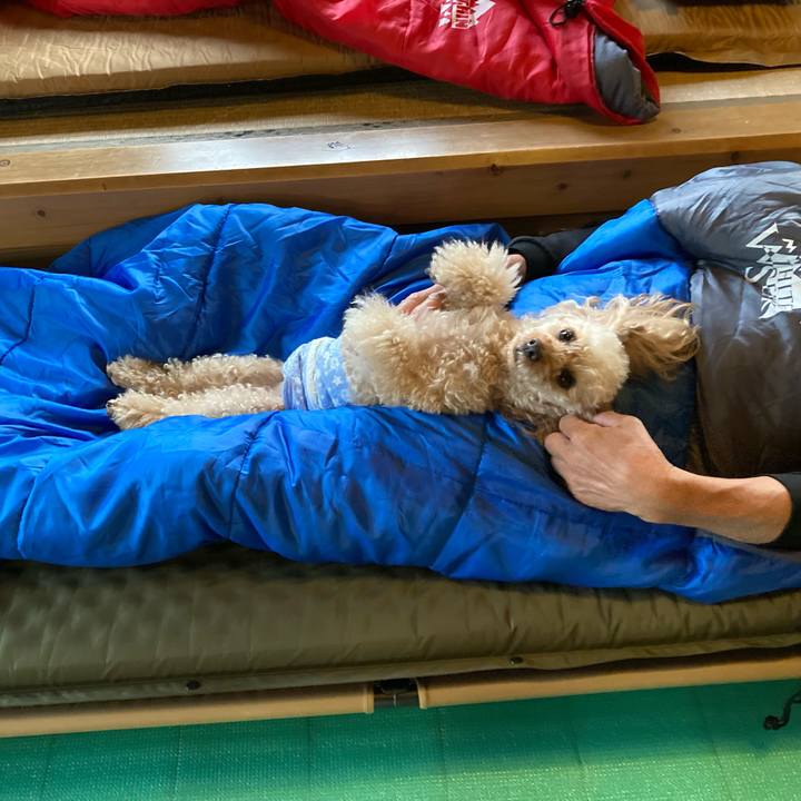 Ba088f93 23e9 4933 b0ff 1cac2be38a75 1652866996421