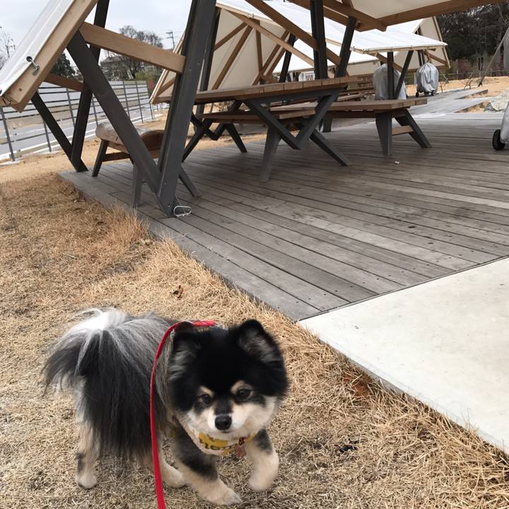 Ba088fa2 108b 4d5b ba99 d86fb9b2e76a 1548245465381