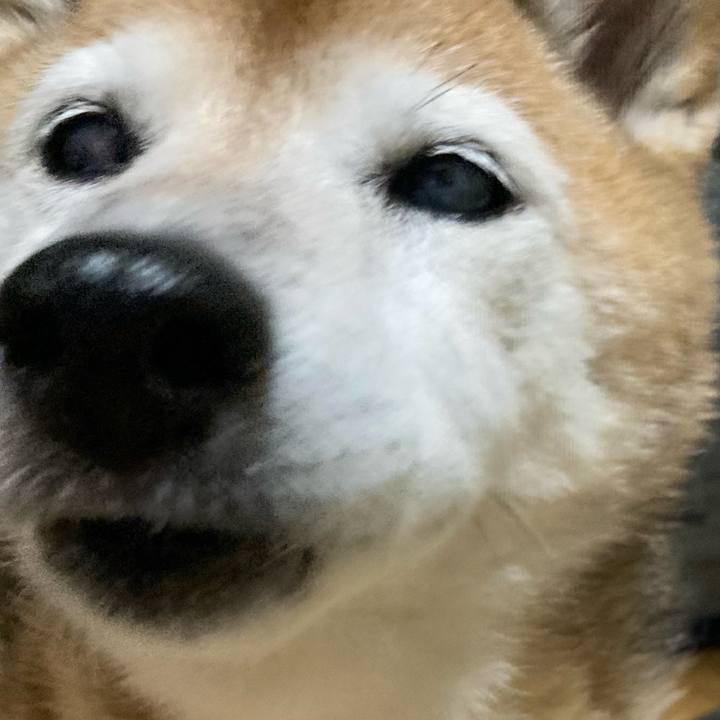 Ba08bd08 0d43 4306 b779 bd85c7a08eb7 1758195525546