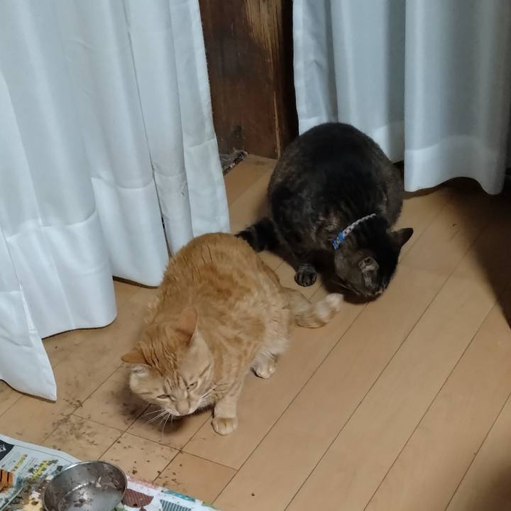 Ba08c709 f7fb 4af1 8c4c f5749e56e7e4 1685350329150