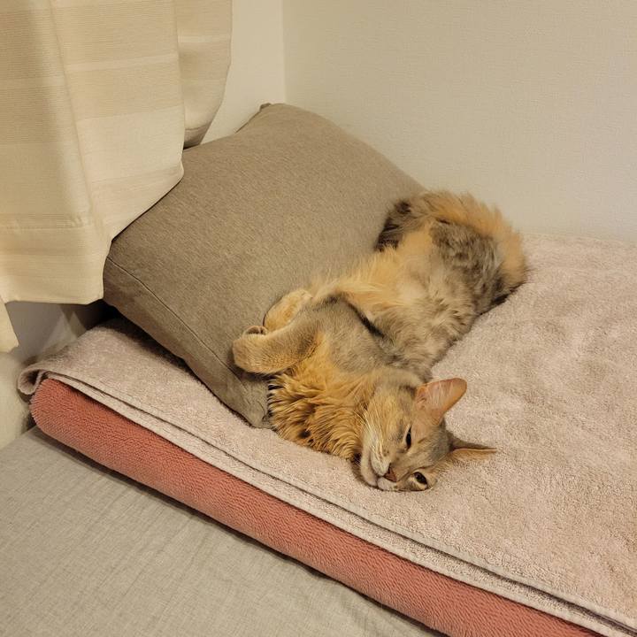 Ba08d05b ef20 45a6 81f3 17722a2f45fa 1633863916611