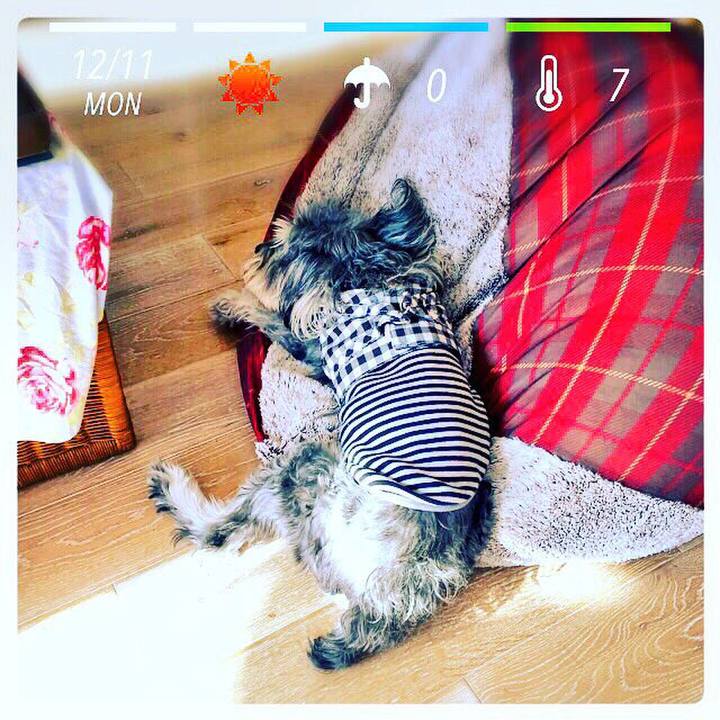 Ba08d580 b55c 4696 8ac4 e3db7f35b340 1512959189410