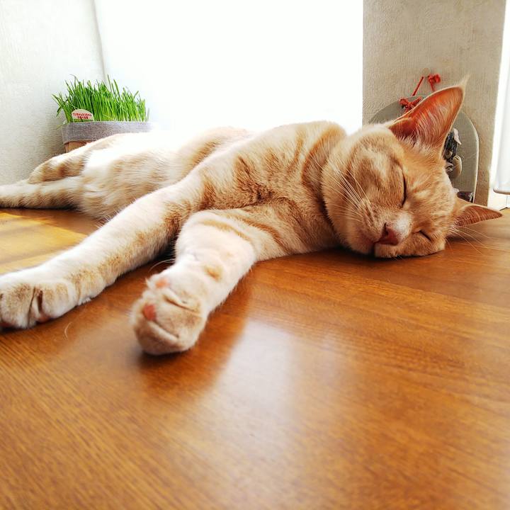 Ba08d8af f583 472d 934b 28fa9dfdce40 1554595687430