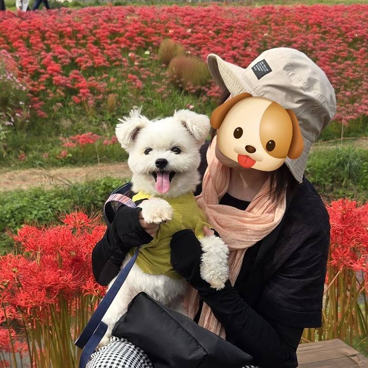 Ba08ed75 7ba5 46e0 8131 2f420484ba2d 1759482627125