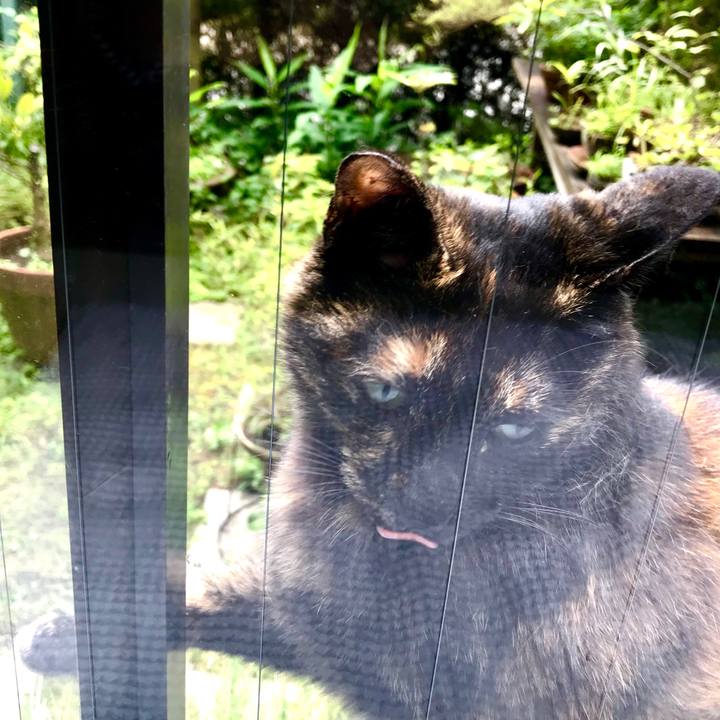 Ba090c23 8907 44fc 85c2 7e08457e3ada 1529132126116