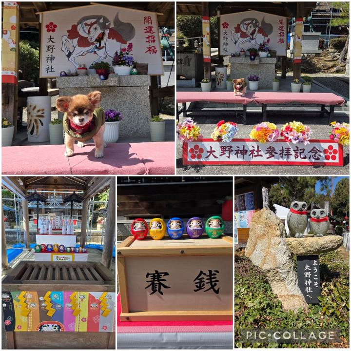 Ba091c9c 20ce 417c a5e6 5bf9b0f9ca1b 1773787304688