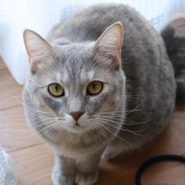 Ba091d5a 083c 4305 b722 d0dce884b290 1541302818274