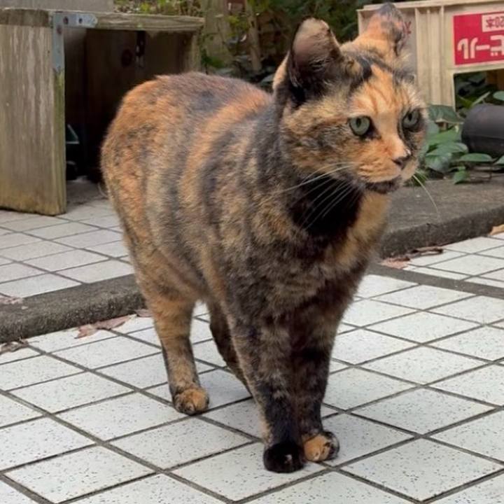 Ba0947a3 79ce 4c0e 8632 482bc9bb318f 1760839111624