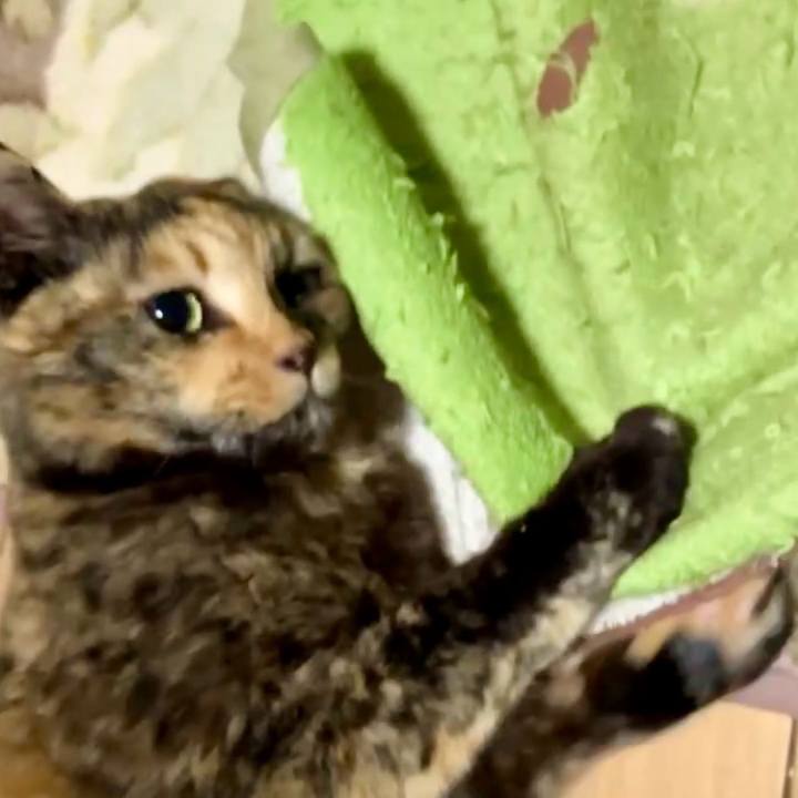 Ba099531 a58d 4bdd 8dd3 7851a711d9fa 1741002105072