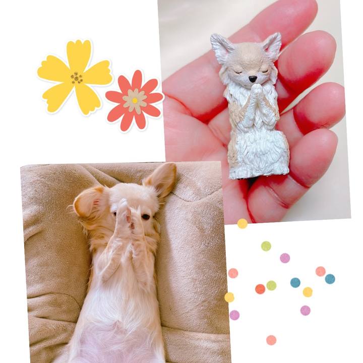 Ba09b9b7 f900 4045 9cc3 aa5634e734be 1646822352154