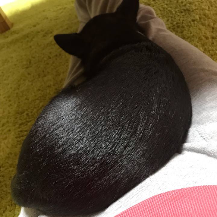 Ba09d472 03c2 4581 b7f2 0ae4f343f679 1572855106488