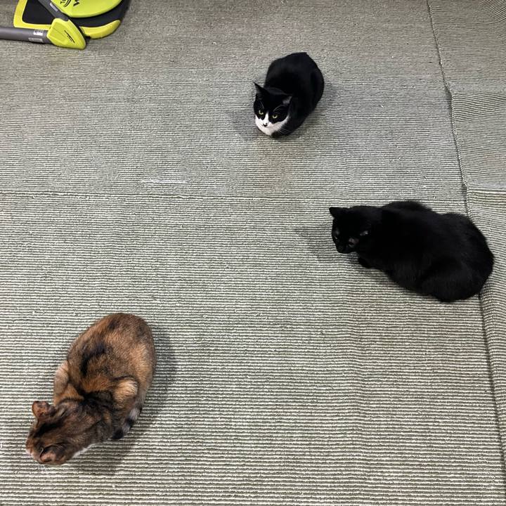 Ba09df42 5db6 476a bd11 1c61875f7dd6 1735804837921