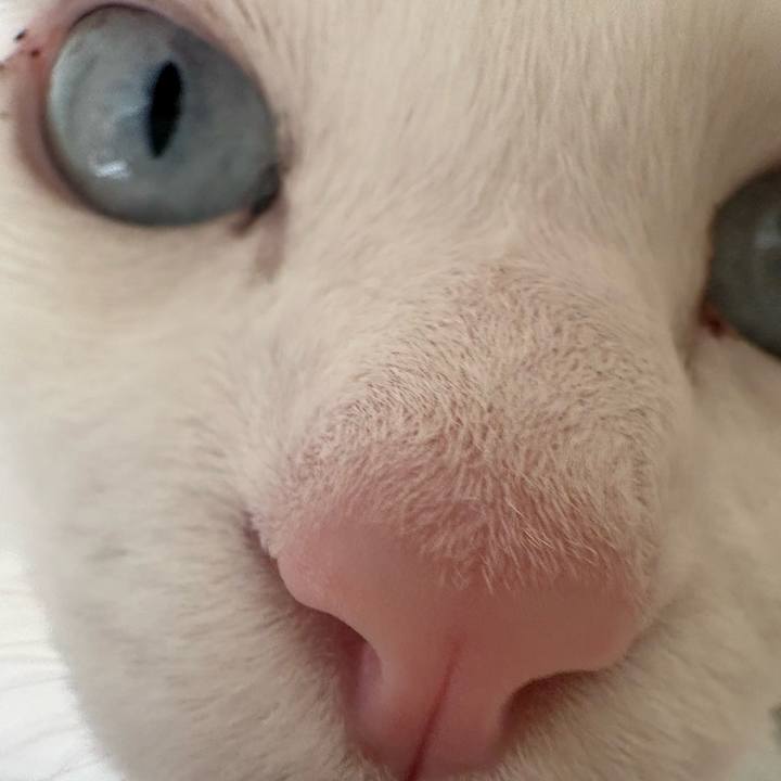 Ba09e638 2bbb 499d ac17 fcfc24a96888 1768609883949