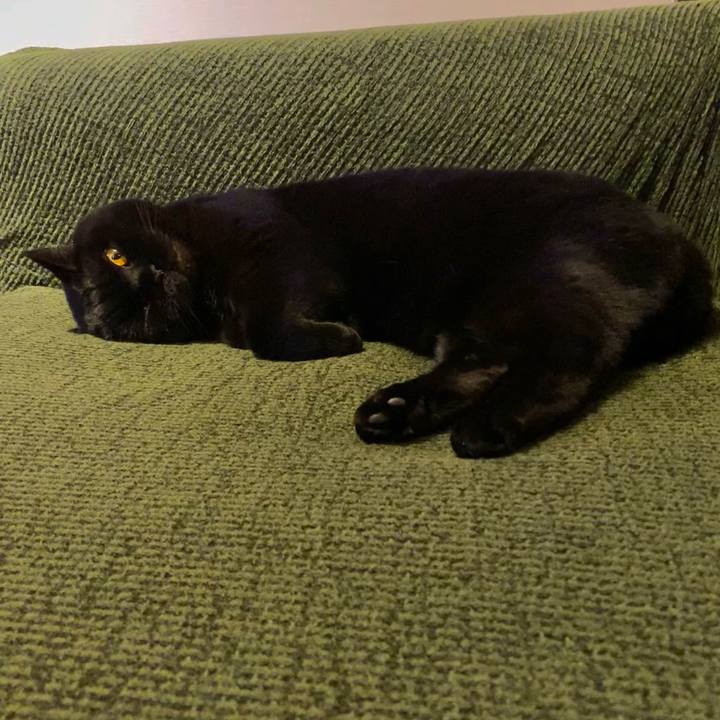 Ba09e8fa d0ea 4186 a787 272745f01a5f 1617712119668