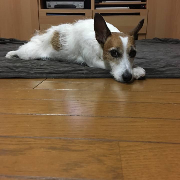 Ba09f5ed 3c14 4d07 9cb7 adfb4955b10f 1559196142222