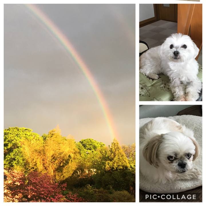 Ba09fab0 5e47 42b9 8a5e 70f6f1284684 1556365075854