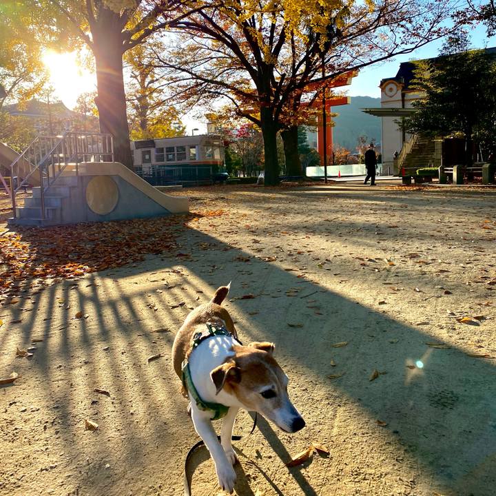 Ba0a3bb2 28b0 46fe 8997 01a5726114cb 1605397088431