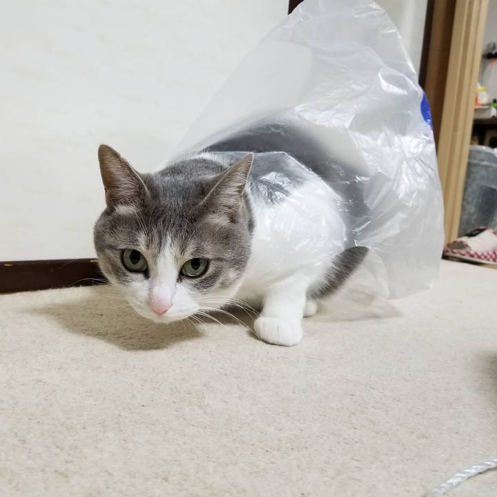 Ba0a59f3 75bd 4b1e 8ba8 7b6d3ee4c66e 1520346137202