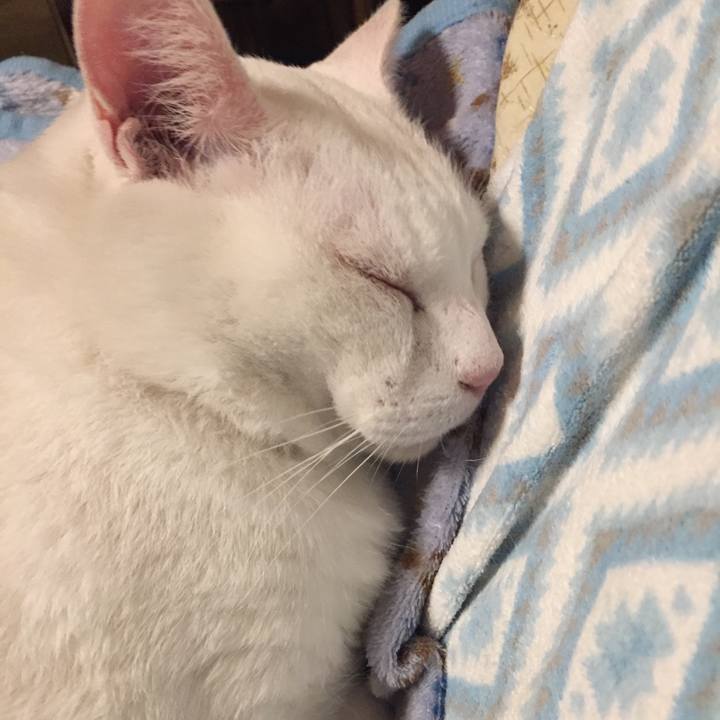 Ba0a5af3 3241 4c76 b68f e1b82d87bad6 1541595637027