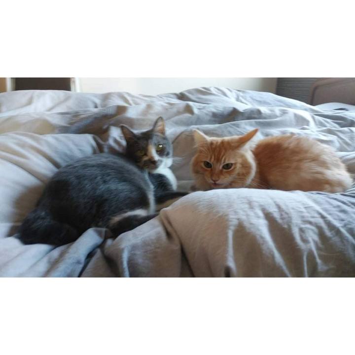 Ba0a5ded 8487 4497 978c dff73918650d 1634971402065